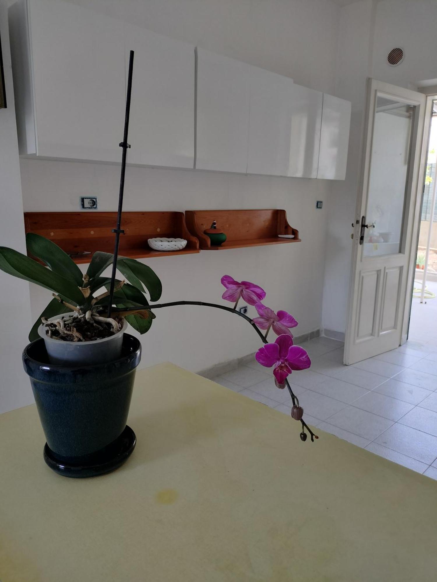 شقة Sunny House بارغيليا المظهر الخارجي الصورة