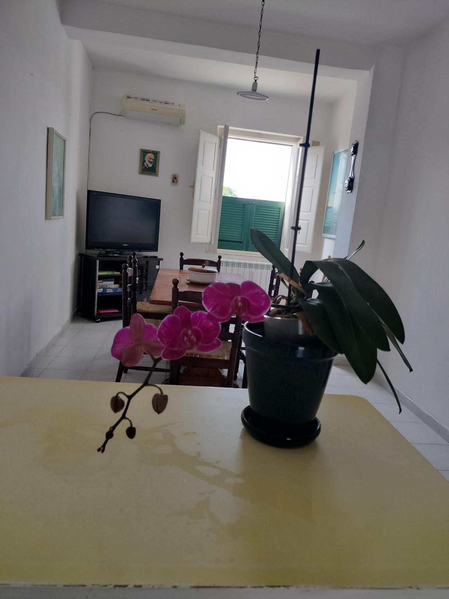 شقة Sunny House بارغيليا المظهر الخارجي الصورة